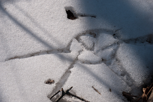  marcas aleatorias sombras en la nieve hacen un patrón