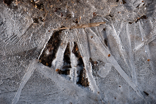 closeup of finger-like ice crystals