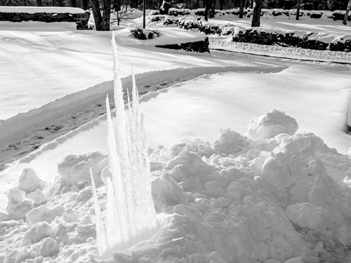 black and white, path in back yard of Farmhouse with icicles lit by sun in foreground