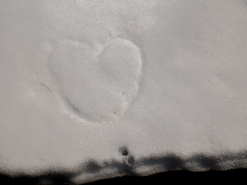 closeup of heart shape drawn in snow