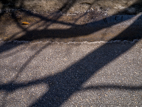 closeup of broad tree trunk shadows on asphalt road, cracks, dirty snow