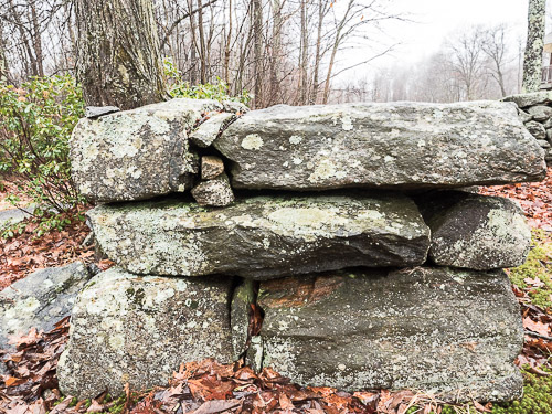 stone wall with lichen, closeup