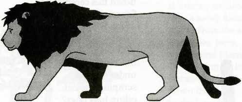 1996-Issue-01-Spring-Lion