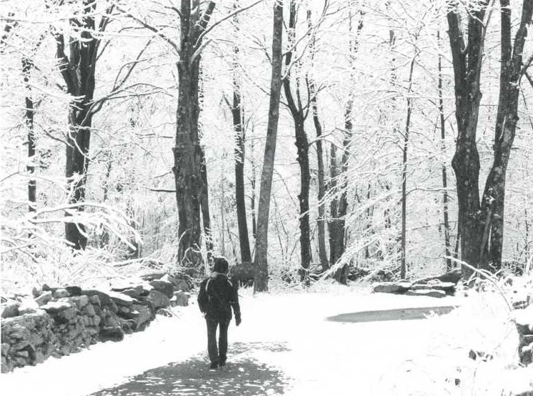 2008-Winter--Doering-WinterPath