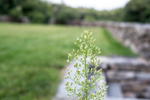 20130822_00002(6)