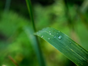 20140805_1010044