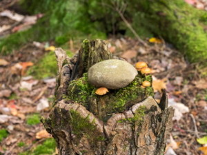 20141008_1010497