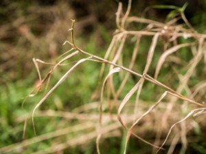 20141021_1010631