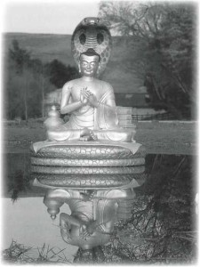 Brasington Image