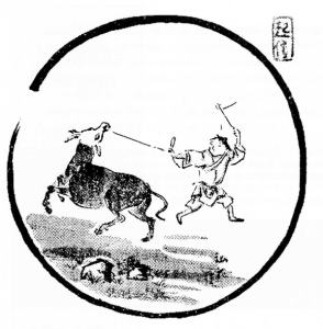 Fall02_BM1