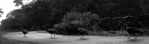 Fall2005_GK2