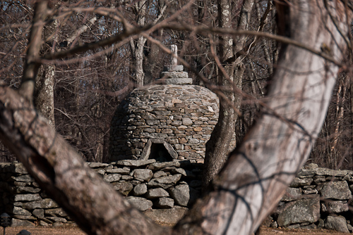 stupa at BCBS seen through tree branches