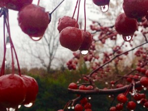 File_001