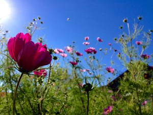 File_006(2)