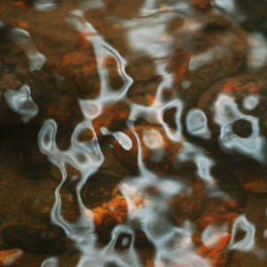 Reflections1