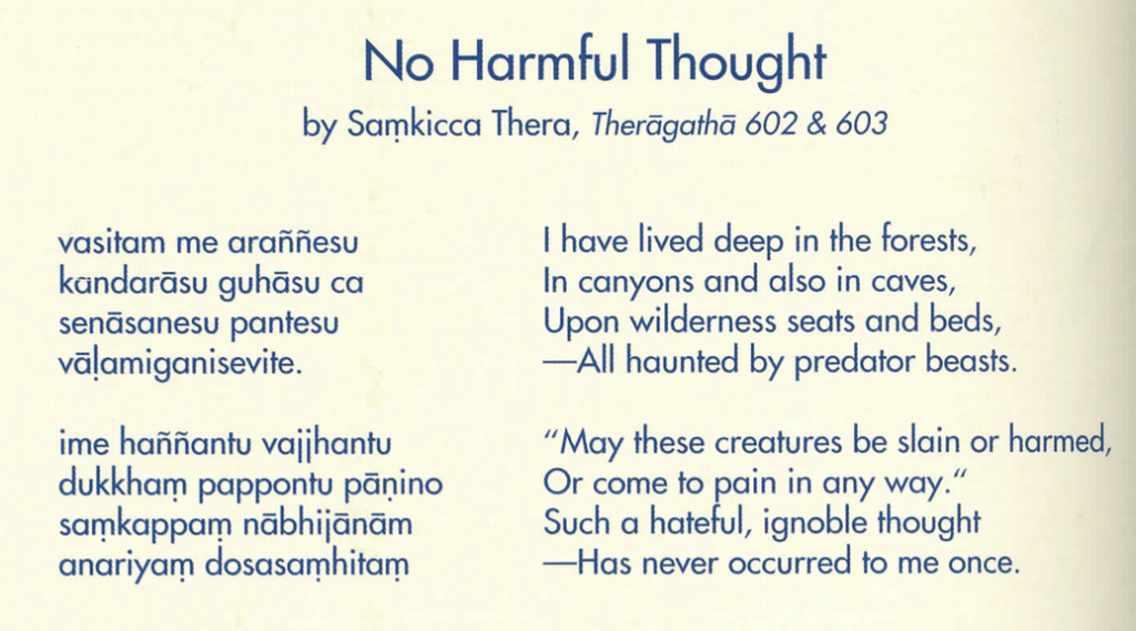 Summ2007_poem