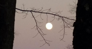 bottombanner