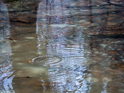 ripples in still cold water over brown leaves